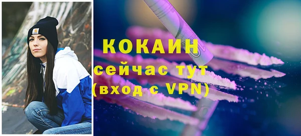 крисы Няндома