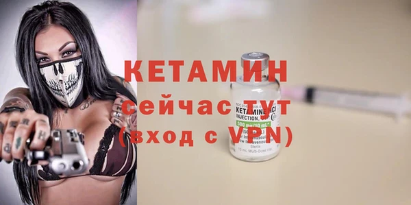 крисы Няндома