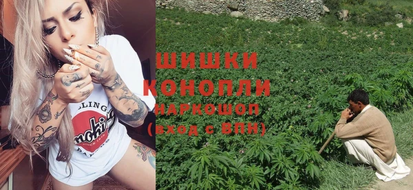 ПСИЛОЦИБИНОВЫЕ ГРИБЫ Верея