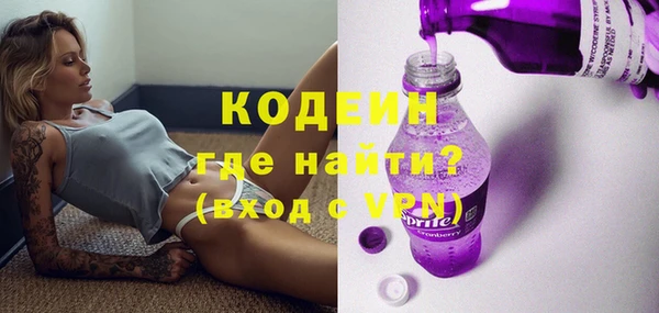 крисы Няндома