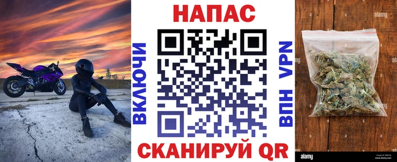 МАРИХУАНА индика Грайворон